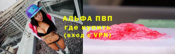 стаф Белоозёрский
