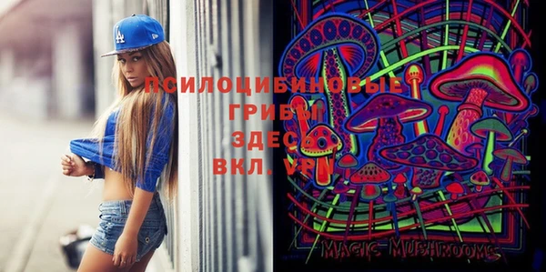 стаф Белоозёрский