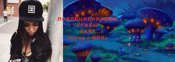 стаф Белоозёрский