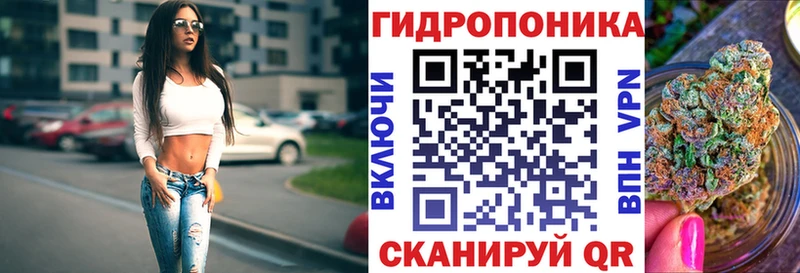 Конопля LSD WEED  shop состав  Цоци-Юрт  KRAKEN сайт 
